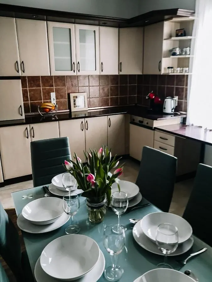 Family Home Garden & Sauna Krakow Apartment